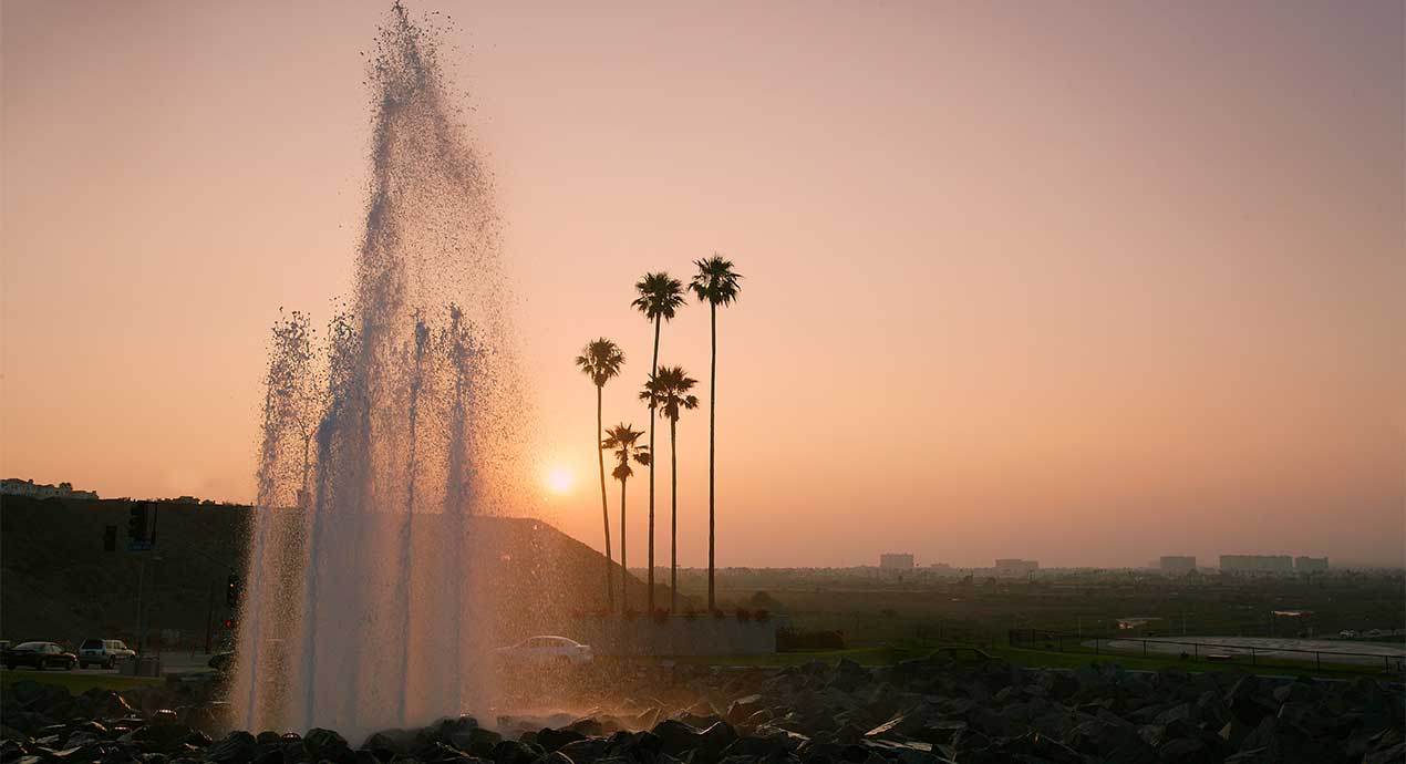 Loyola Marymount University